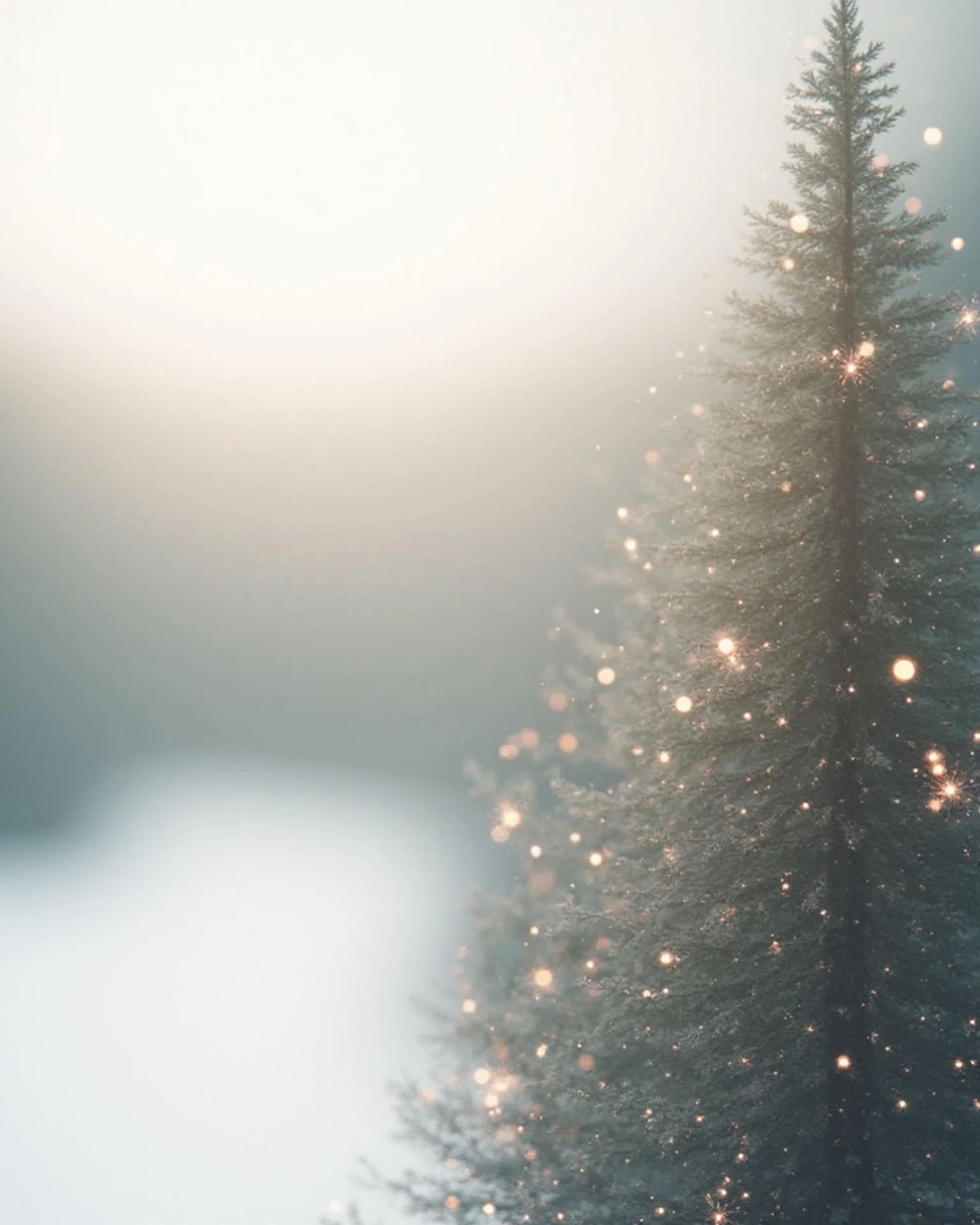 Gesundheit verschenken - Das perfekte Geschenk